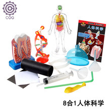 科技小制作 探索科學與創意的完美結合